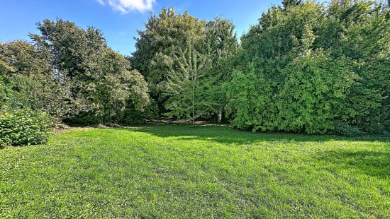 Rue Nicolas Jadot - 24 - - 4500