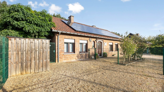 Bieweg - 5 - - 3582