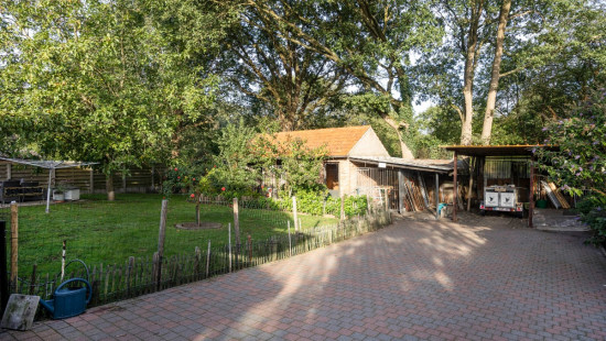 Bieweg - 5 - - 3582