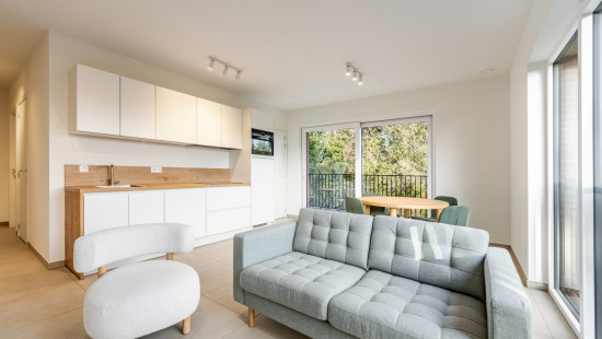 Emile Verhaerenstraat - 53 - - D2.1 - 2890