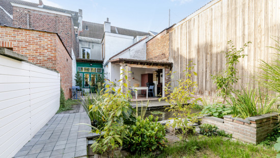 Wijngaardstraat - 31 - - 9500