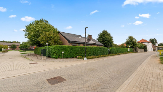 Bruulstraat - 31 - - 3071