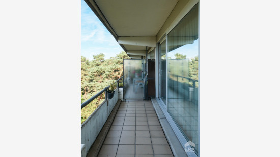 Weg naar As - 121 - 66 - 3600