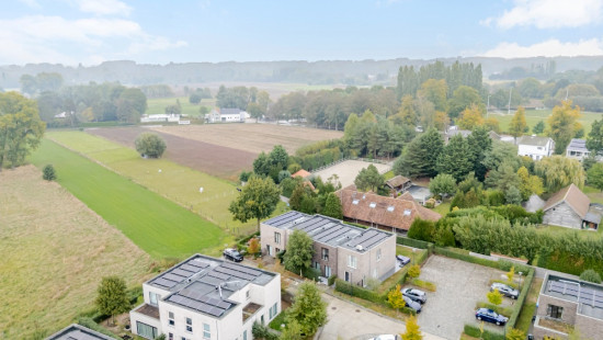 Sleedoorn - 29 - - 9300