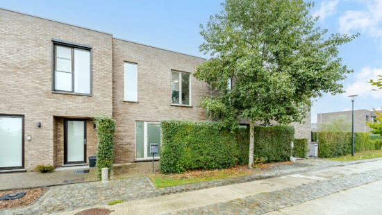 Sleedoorn - 29 - - 9300