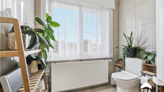Vierwegstraat - 224 - - 8800