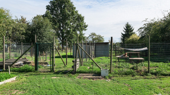 Boeshovenweg - 34 - - 3840