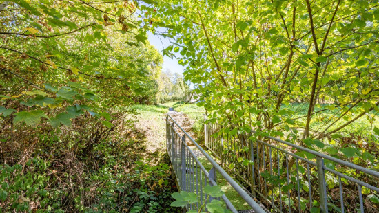 Avenue de la Salm - 45 - - 6690