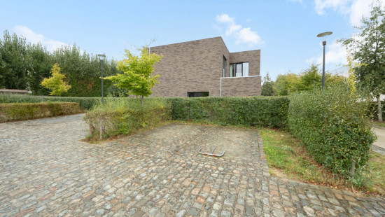 Sleedoorn - 29 - - 9300