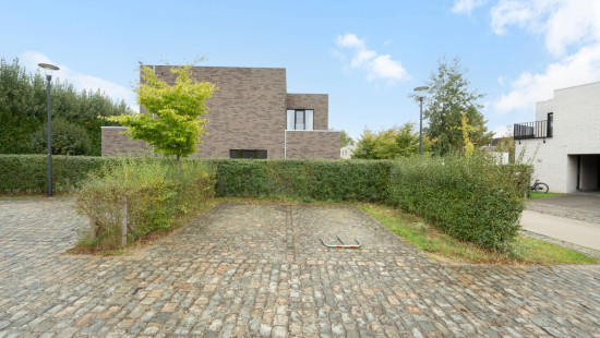 Sleedoorn - 29 - - 9300