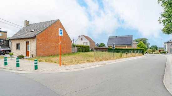 's Gravenkerselaar - 65 - - 9450
