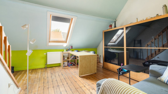Scheirlinckxstraat - 48 - - 2660