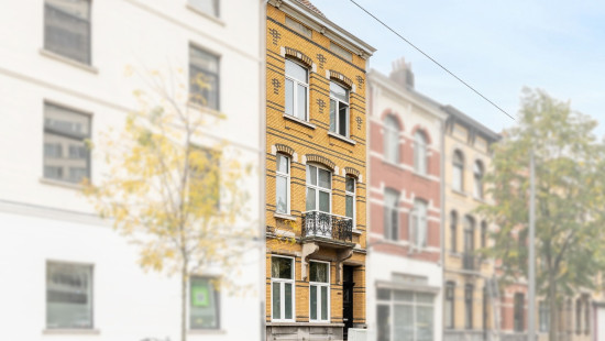 Kruishofstraat - 233 - - 2020