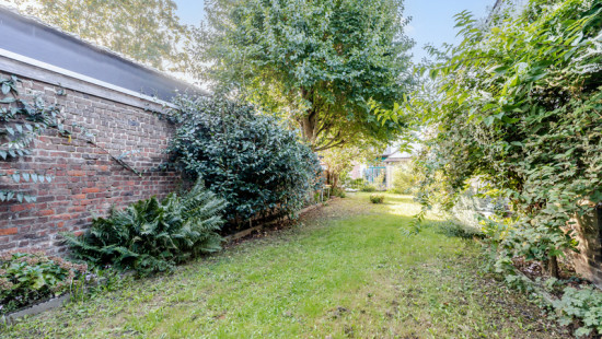 Wijngaardstraat - 31 - - 9500