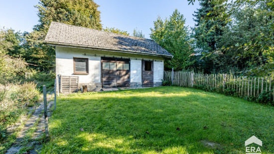Bosweg - 6 - - 1703