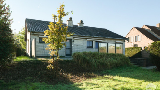 Molenstraat - 14 - - 3540