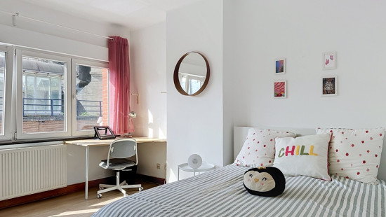 Rue de l'Hippodrome - 163 - - 4000