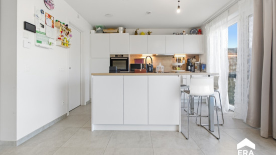 Albert Biesbrouckstraat - 3 - - 8800