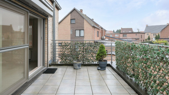 Heserstraat - 4 - 12 - 3620
