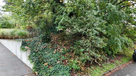 Wildrozenstraat - zn - - 3530