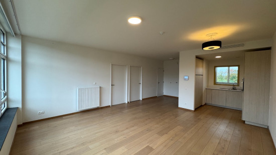 Waversesteenweg - 331 - 502 - 3090