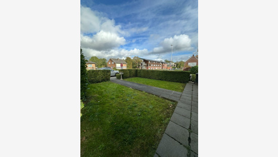 Poperingseweg - 487 - - 8908