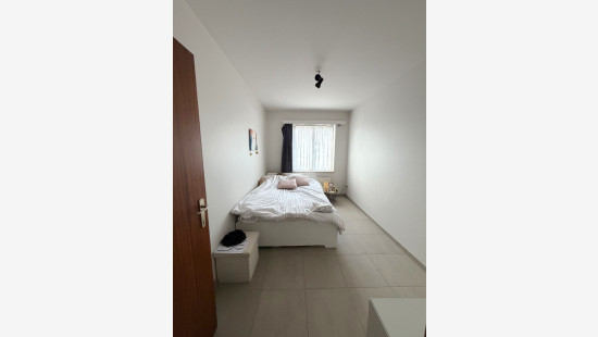Bruggestraat - 118 - 0101 - 8750