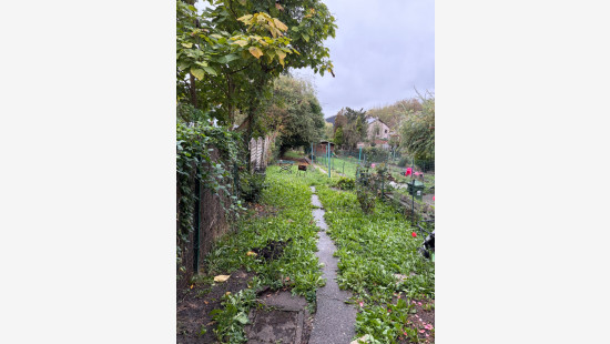 Rue Waleffe - 101 - - 4101