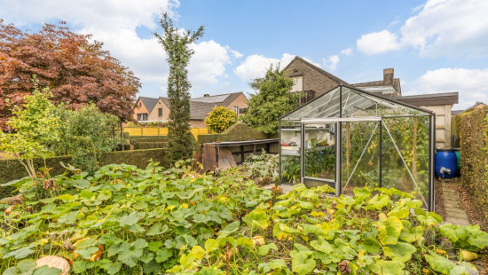 Manestraat - 37 - - 3540