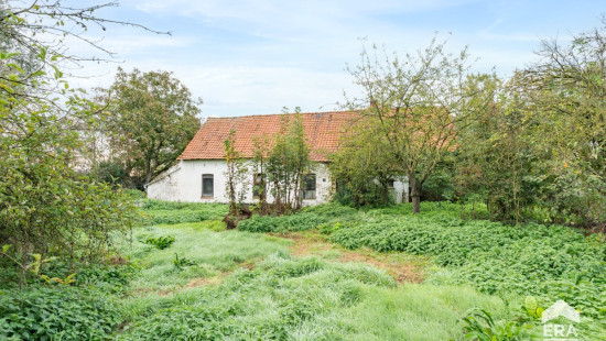 Desselgemseweg - 176 - - 8790