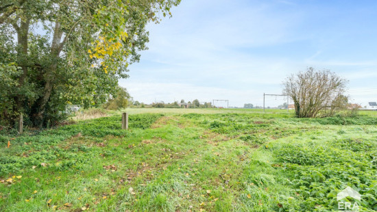 Desselgemseweg - 176 - - 8790