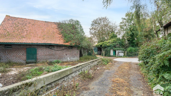 Desselgemseweg - 176 - - 8790