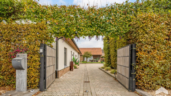 Pastorijstraat - 14 - - 3540