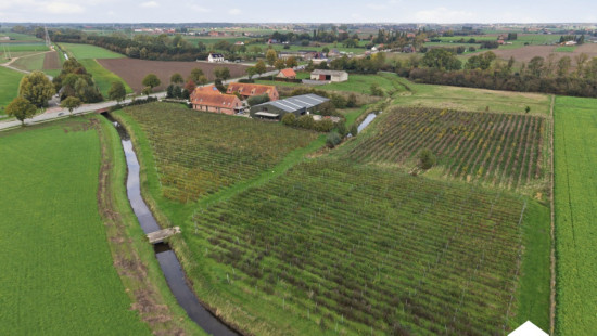 Diksmuidseweg - 530 - - 8904