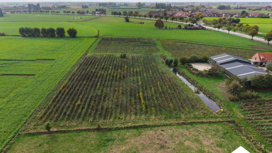 Diksmuidseweg - 530 - - 8904