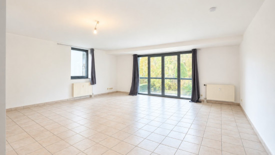 Rue du Hableau - 53 - - 5580