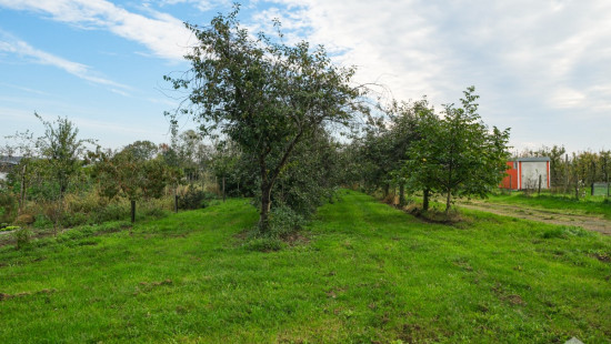 Mierhoopweg - 73 - - 3850