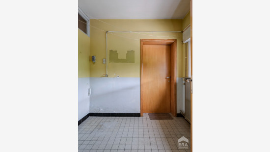 Molemstraat - 4 - - 3560