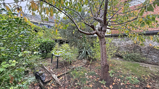Rue des Soeurs Grises - 25 - - 4500