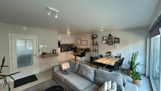 Roeselarestraat - 116B - 0102 - 8560