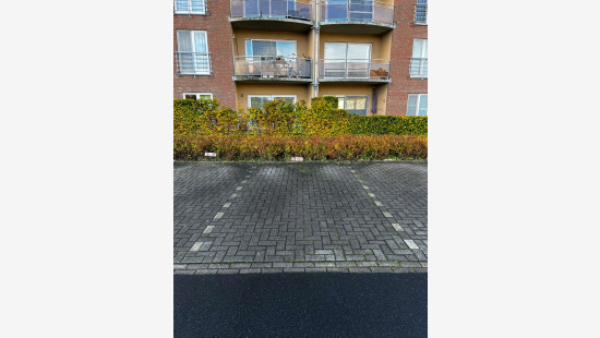 Zuidstraat - 23 - 101 - 8530