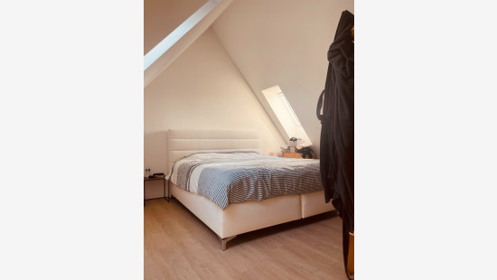 Vrijheid - 146 - 4 - 2320