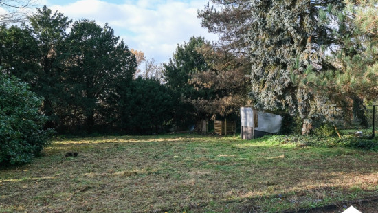 Houthalenseweg - 81 - - 3520