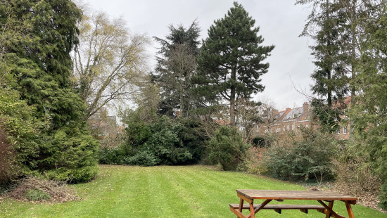 Dokter Peelstraat - 9 - 0012 - 8500