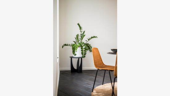 Oogststraat - 239-253 - - B 7.2 - 2600