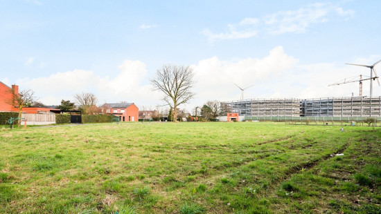 Haverblok - 4 - - 2870