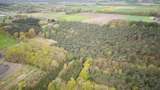 Zandberg - 0 - - 9180