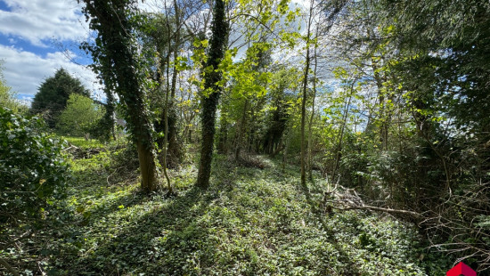 Rue Moray - 13T - - 4218