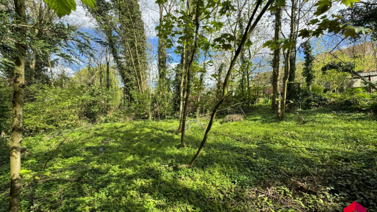 Rue Moray - 13T - - 4218
