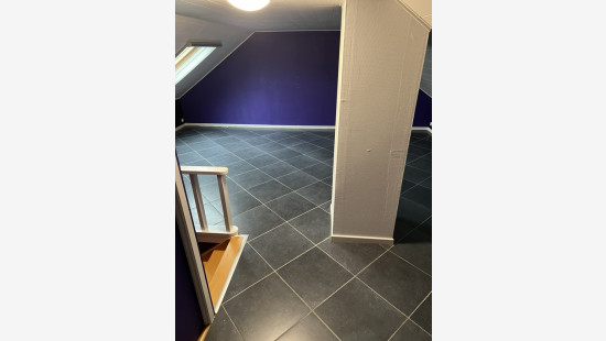 Hongarijenstraat - 61 - - 3294